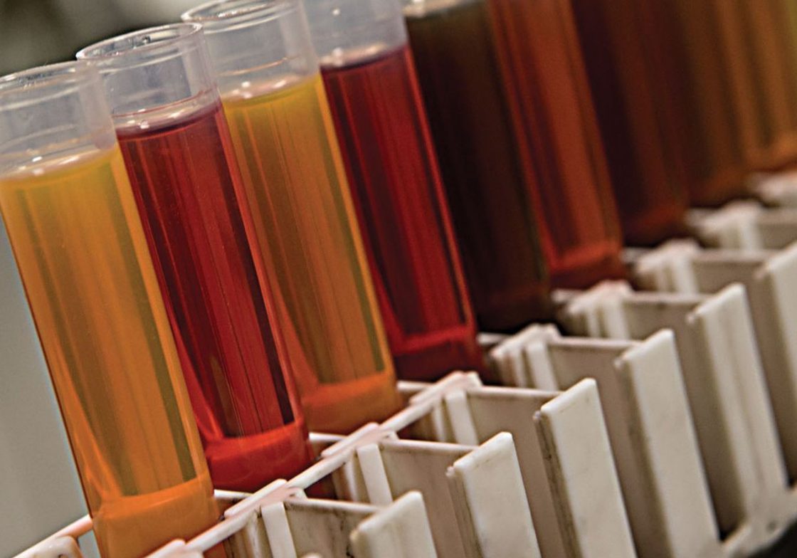 Cat Fluid Analysis Services